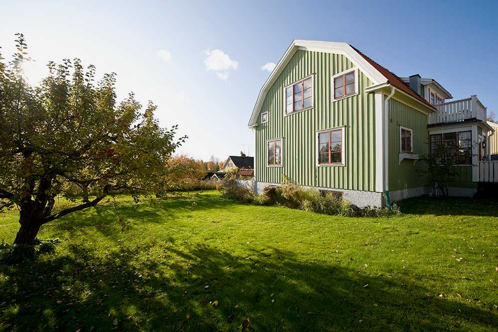 Ett charmigt grönt trädhus